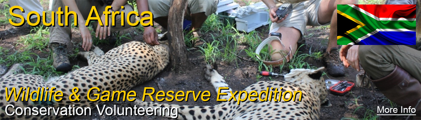 Amazing Wildlife Conservation project in South Africa with Travellers Worldwide
